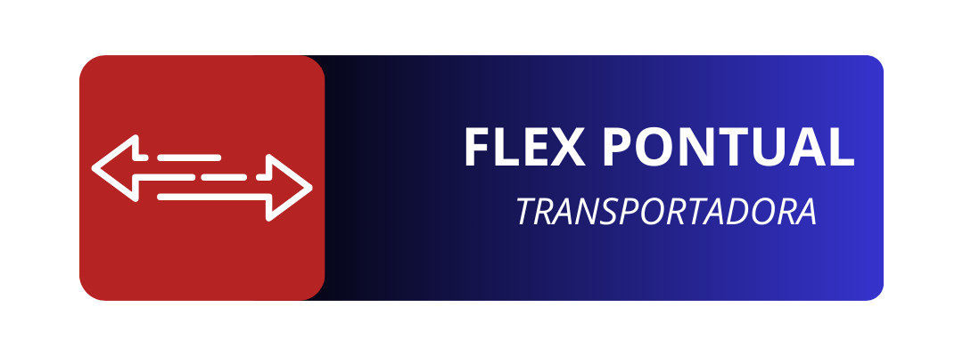 Envio Flex e Entrega Direta – Flex Pontual
